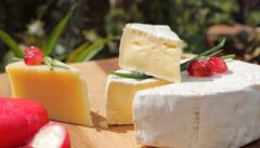 cheese - possible food to avoid with IBS